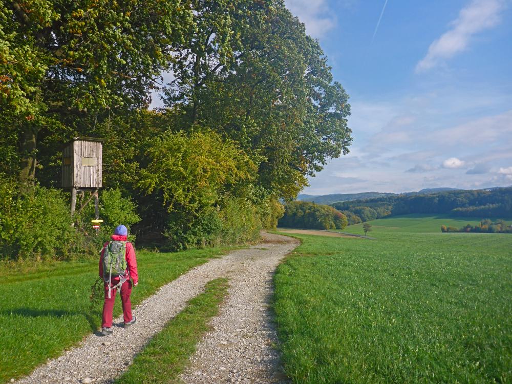 Edlitzberg (26 Bildaufrufe)