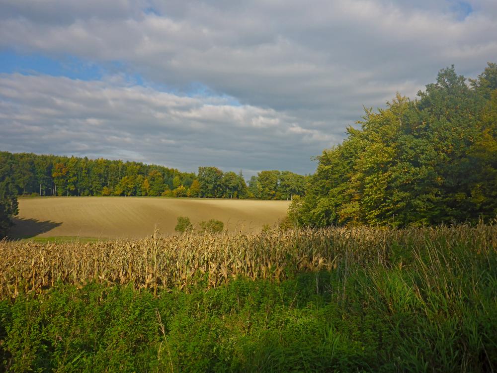 Edlitzberg (22 Bildaufrufe)