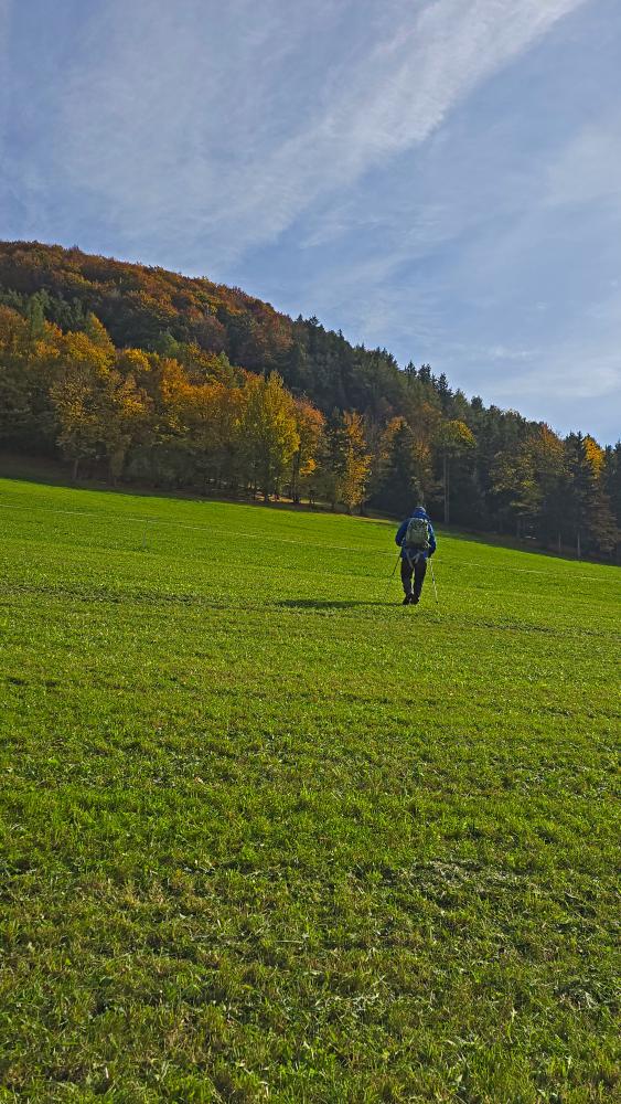 Hofberg (27 Bildaufrufe)