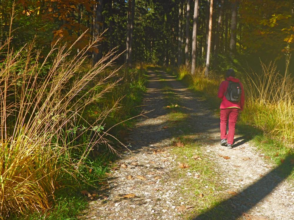 Silberne Birn (16 Bildaufrufe)