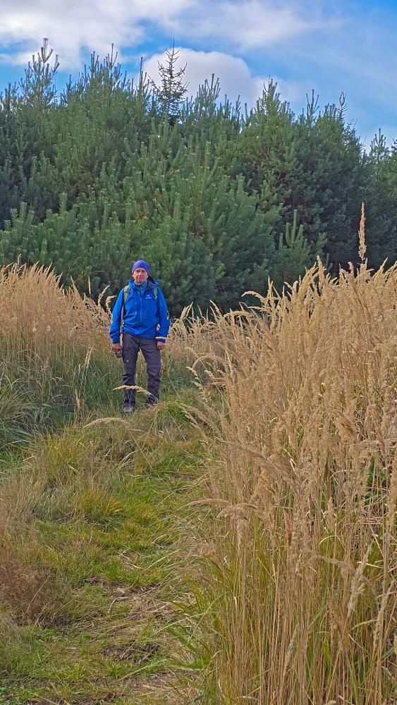 Silberne Birn (19 Bildaufrufe)