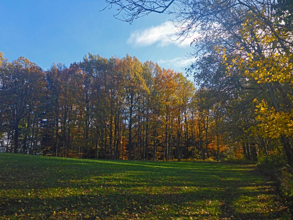 Kuhberg (20 Bildaufrufe)