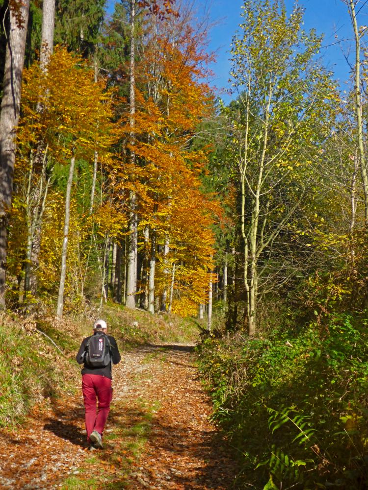 Rudolfsh&ouml;he (19 Bildaufrufe)