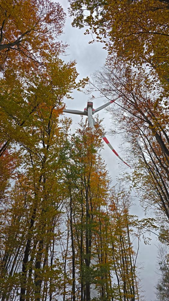 Schildberg (6 Bildaufrufe)