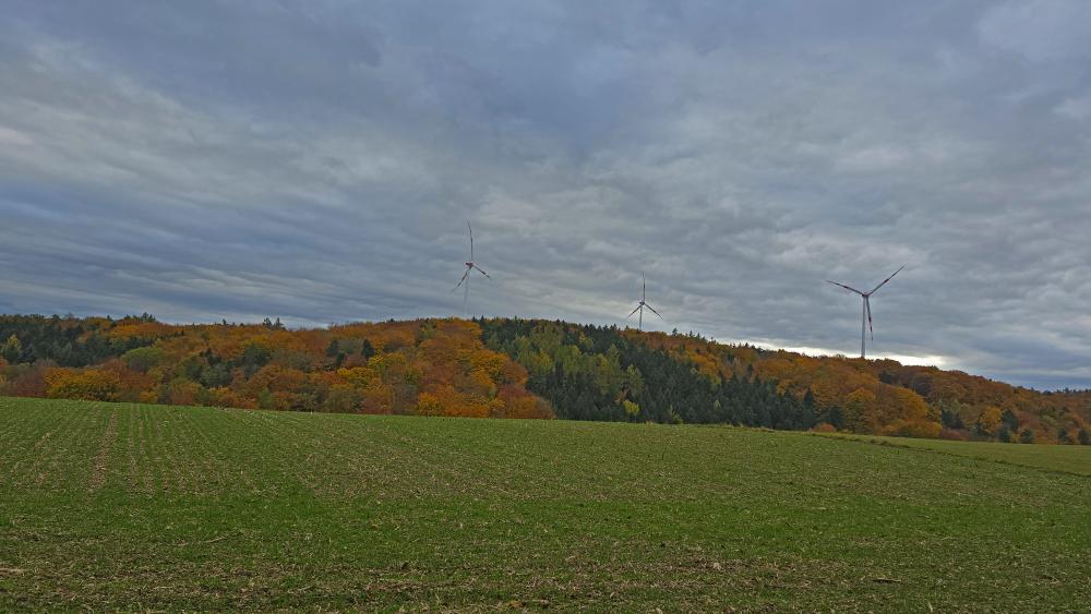 Schildberg (21 Bildaufrufe)