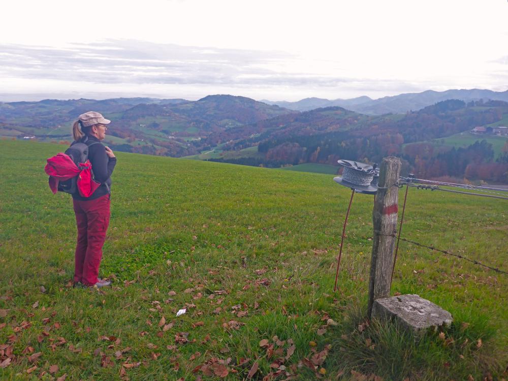 Plambachecker Höhe (20 Bildaufrufe)