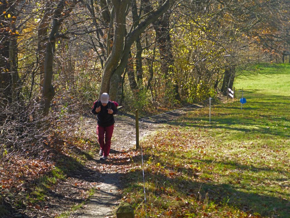 Kaiserkogel (21 Bildaufrufe)