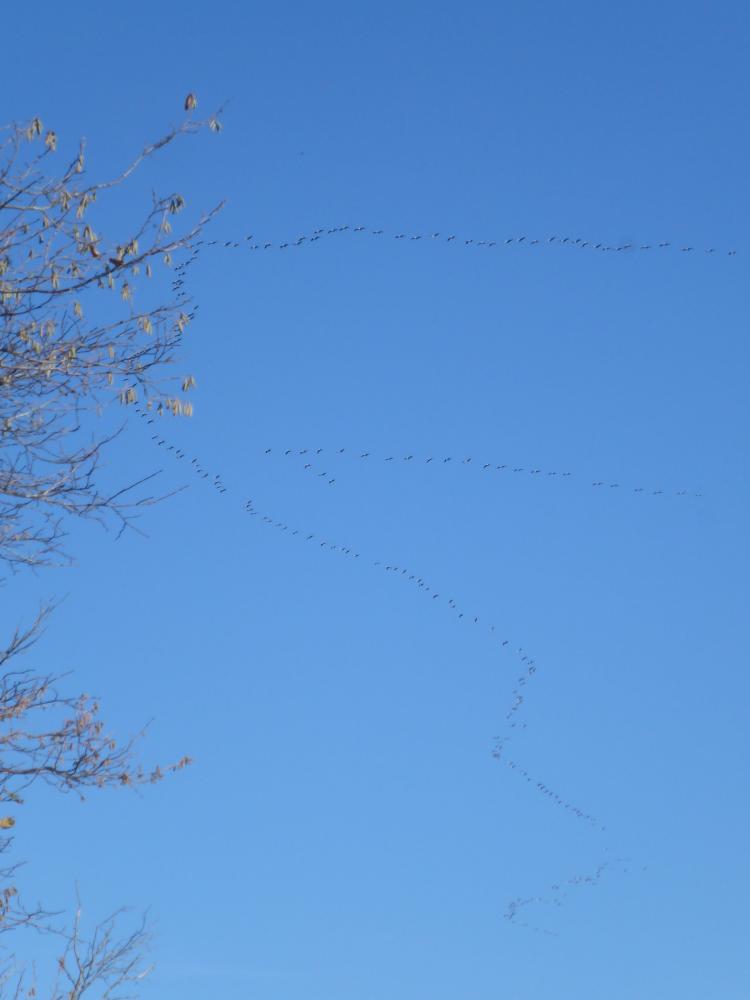 Kaiserkogel (28 Bildaufrufe)