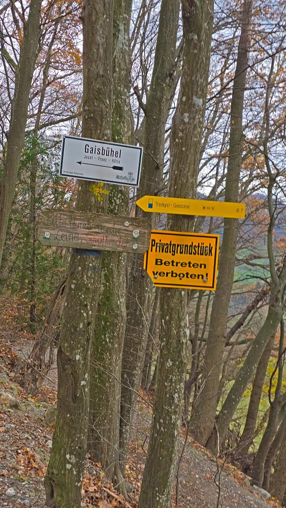 Gaisbühel (30 Bildaufrufe)