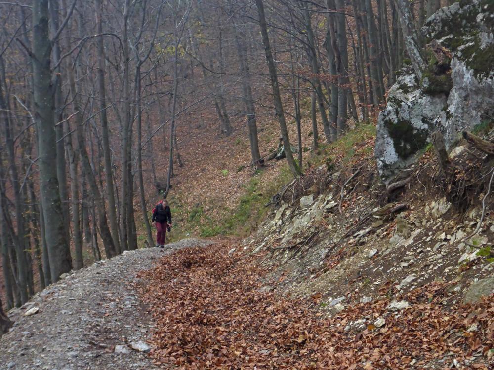 Gaisbühel (33 Bildaufrufe)