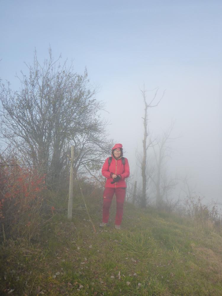 Frankenfelsberg (16 Bildaufrufe)