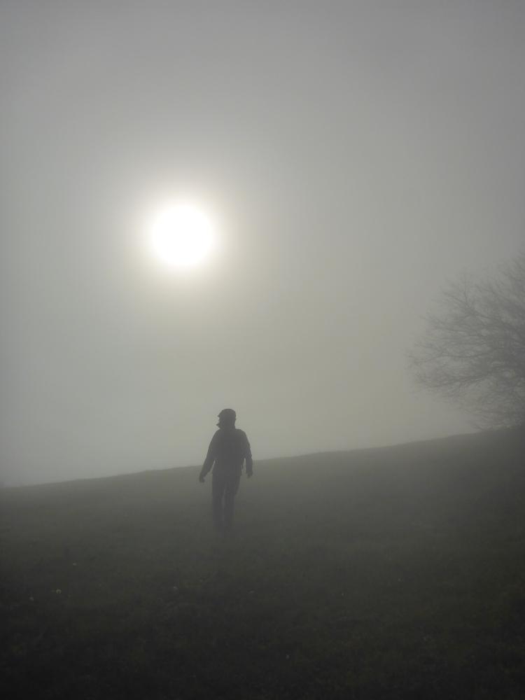 Frankenfelsberg (17 Bildaufrufe)