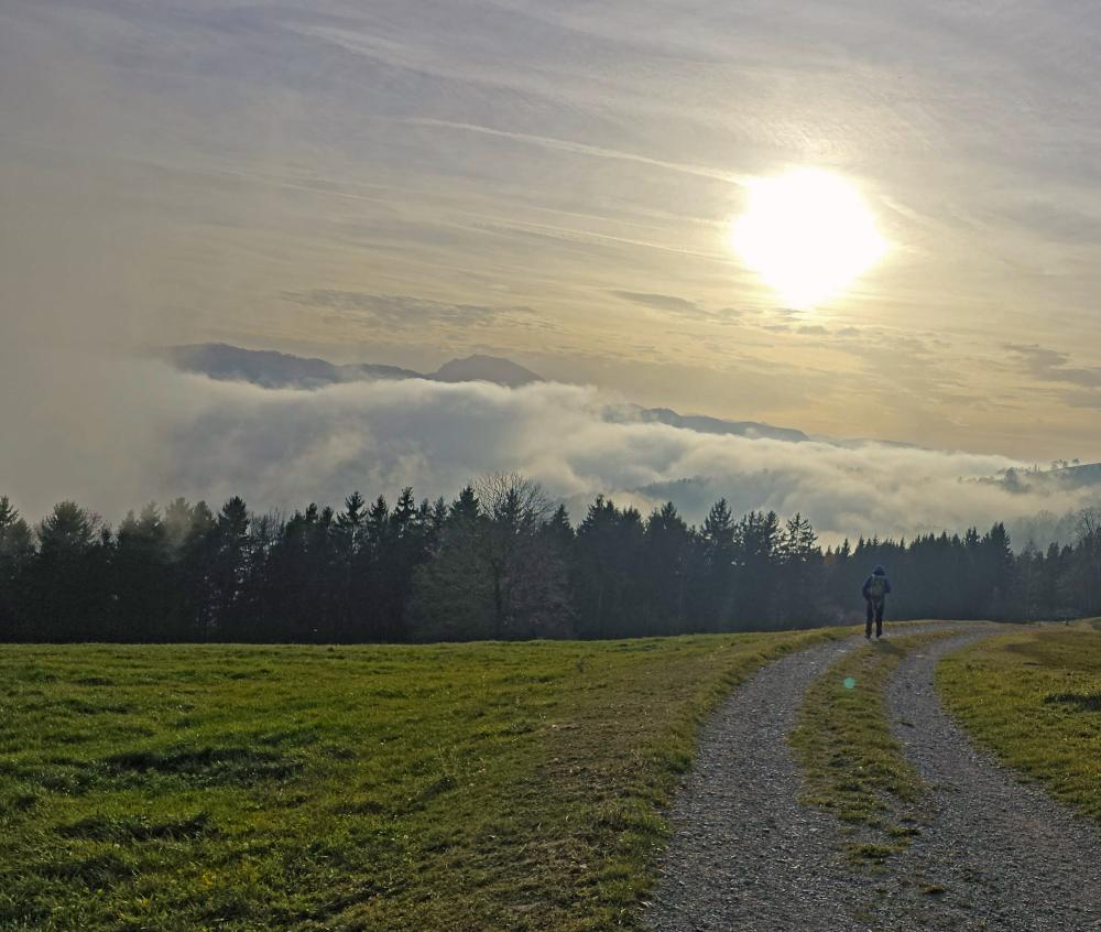Frankenfelsberg (15 Bildaufrufe)