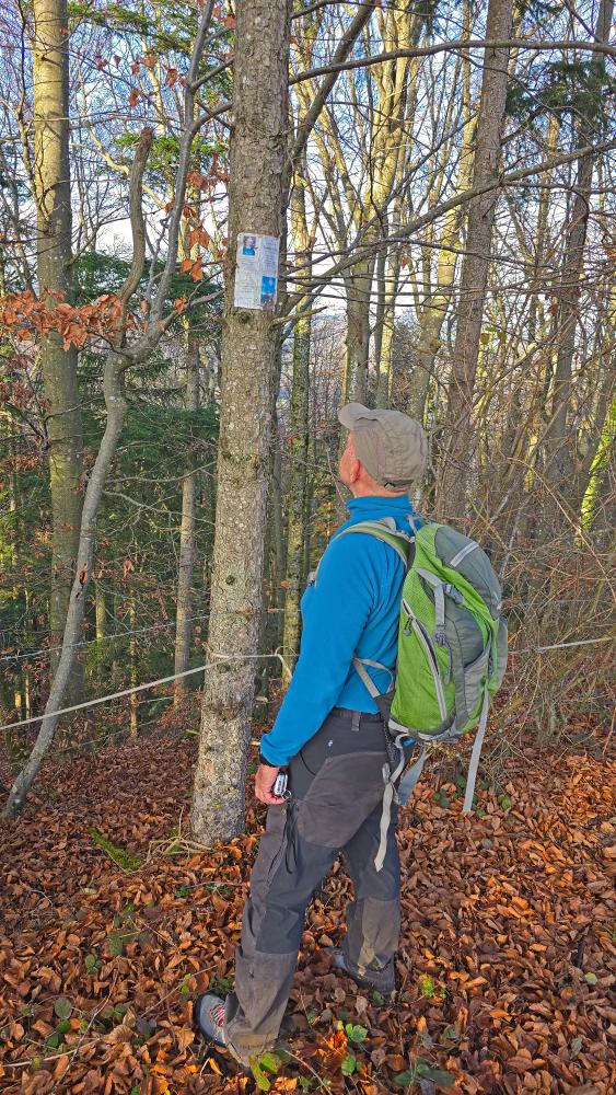 Fronberg (15 Bildaufrufe)