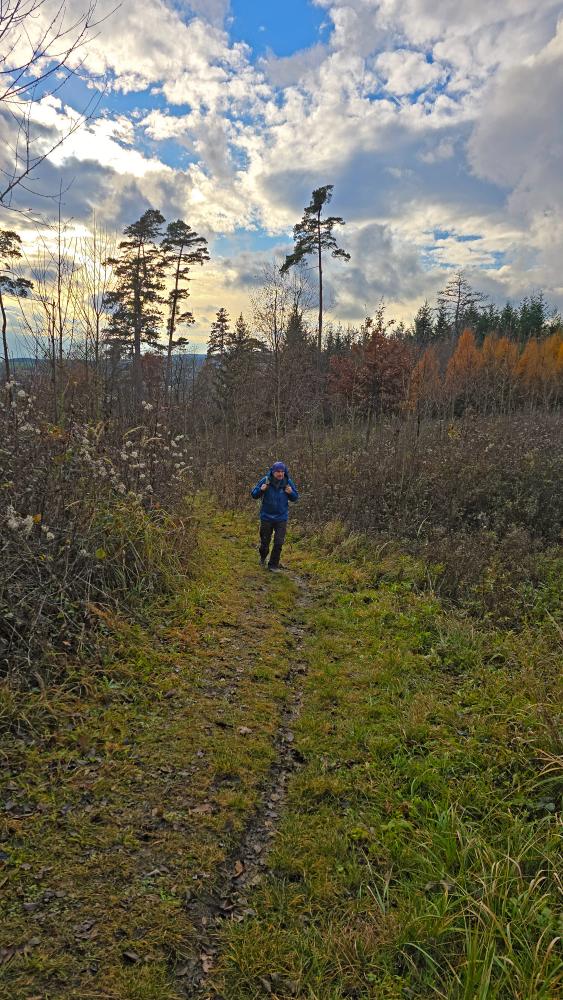 Wachtberg (30 Bildaufrufe)