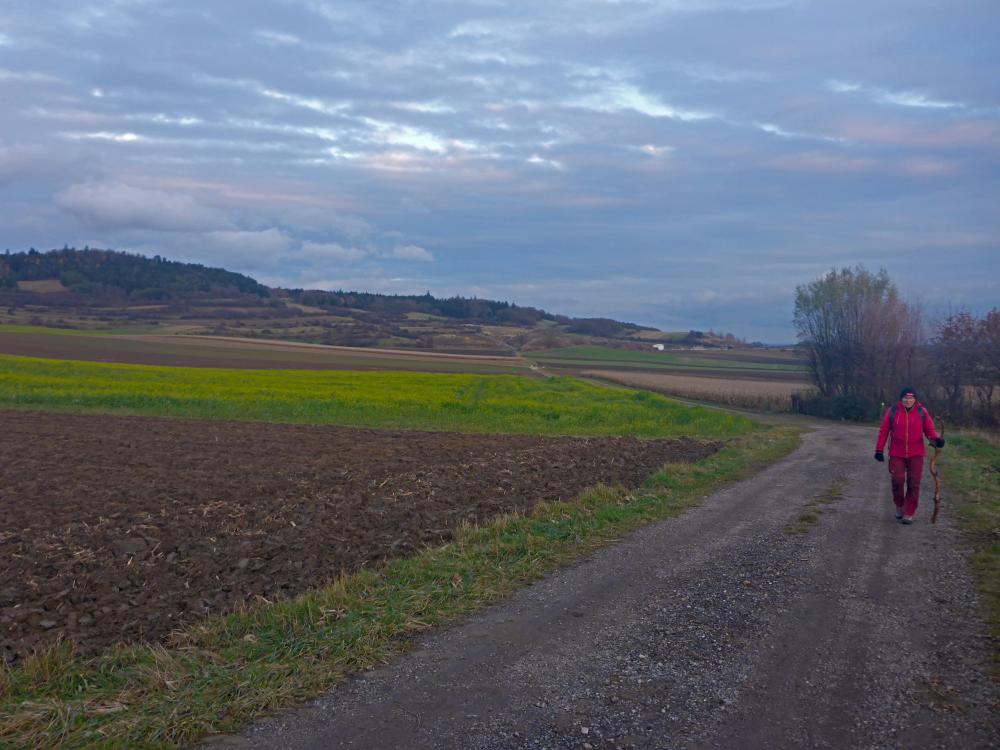 Wachtberg (22 Bildaufrufe)