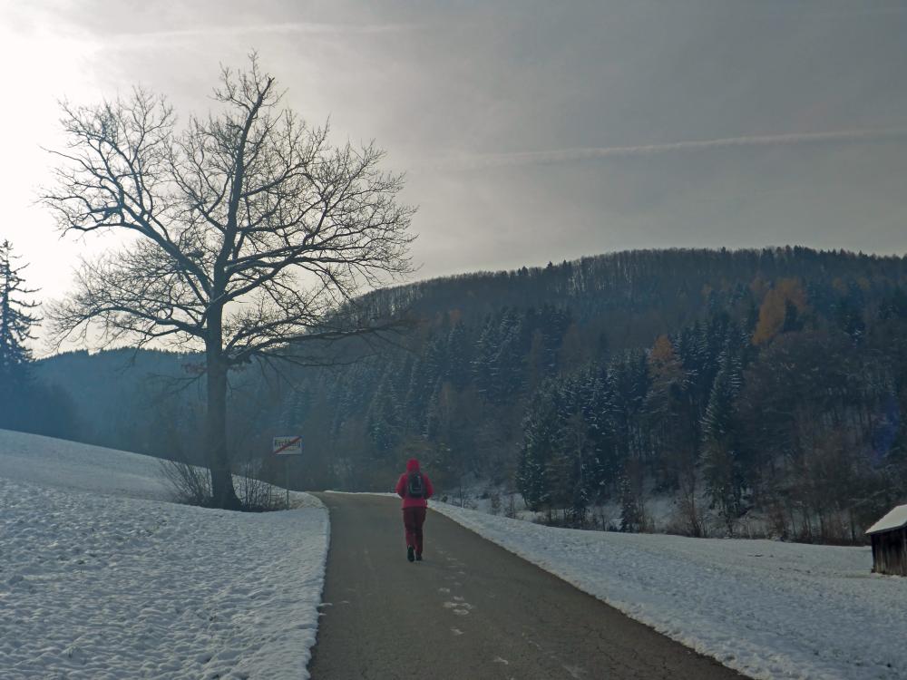 Ramsaukogel (13 Bildaufrufe)