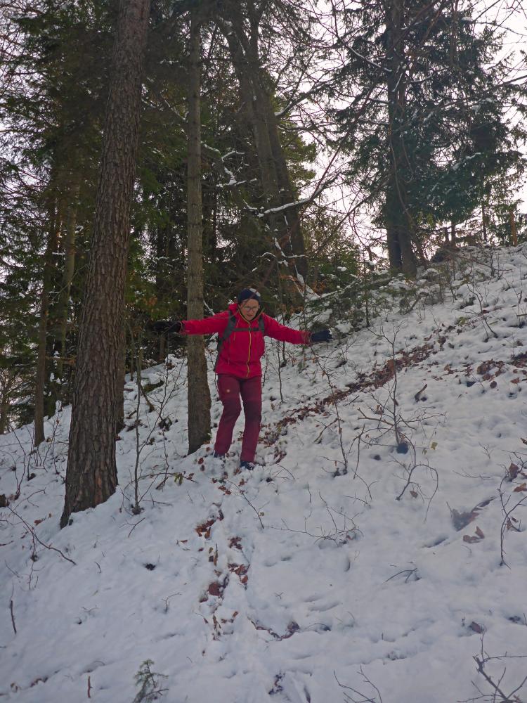 Ramsaukogel (37 Bildaufrufe)