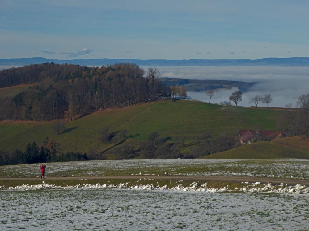 Steinwandleiten (29 Bildaufrufe)