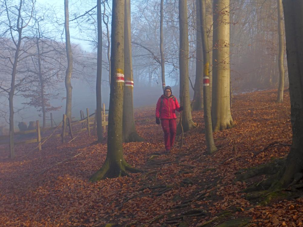 Steinwandleiten (36 Bildaufrufe)