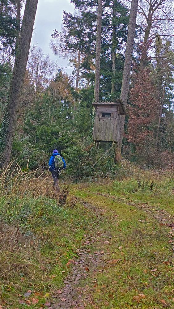 Reidlingberg (24 Bildaufrufe)