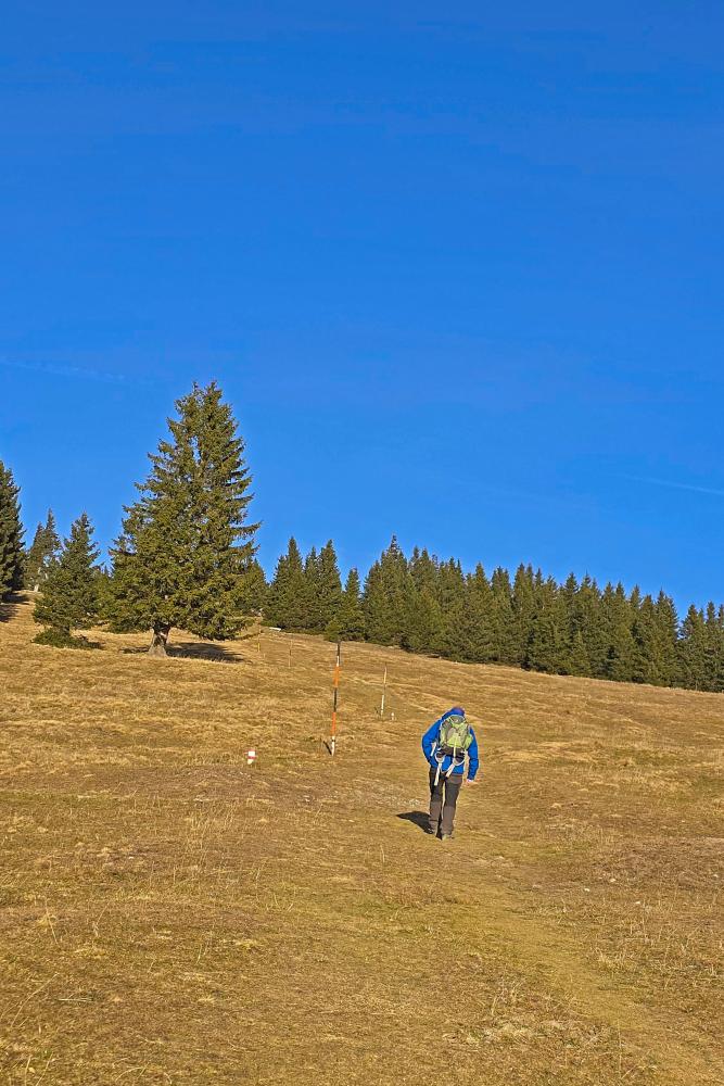 Tirolerkogel (48 Bildaufrufe)