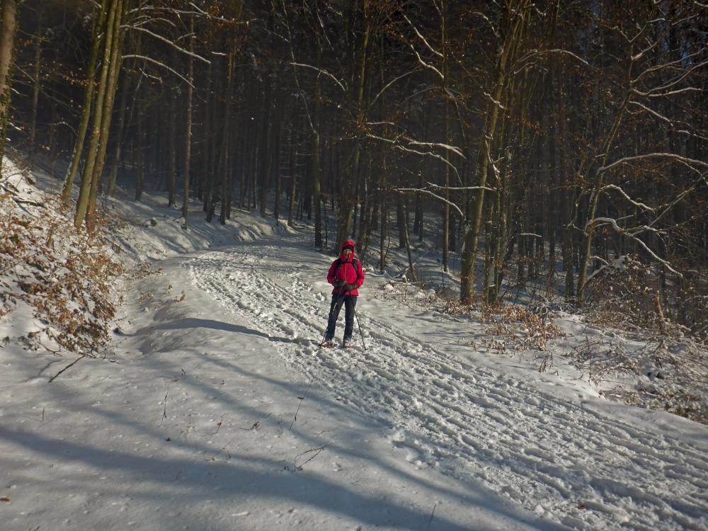 Rudolfsh&ouml;he (26 Bildaufrufe)