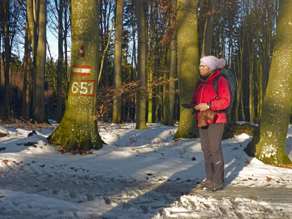 Edlitzberg (18 Bildaufrufe)