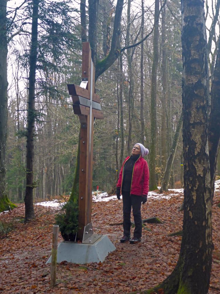 Kuhberg (25 Bildaufrufe)