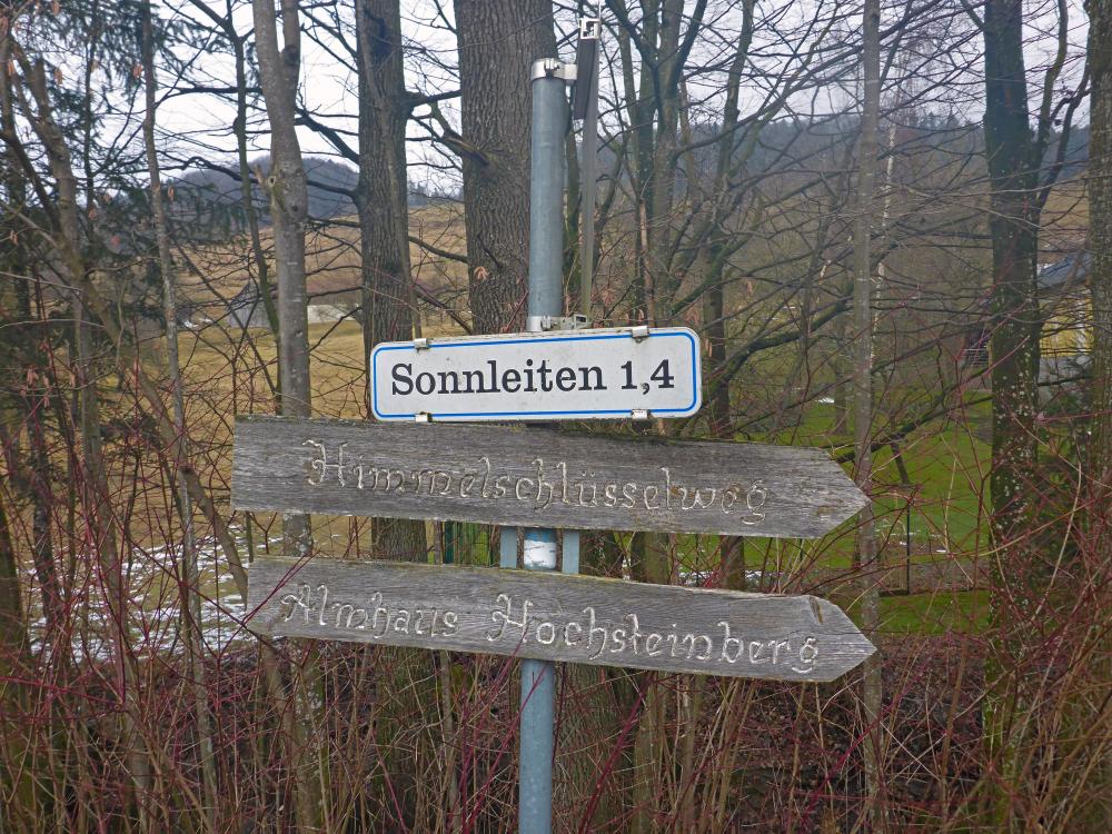 Gaisberg (35 Bildaufrufe)