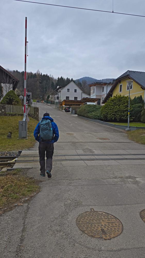Hauswald (36 Bildaufrufe)