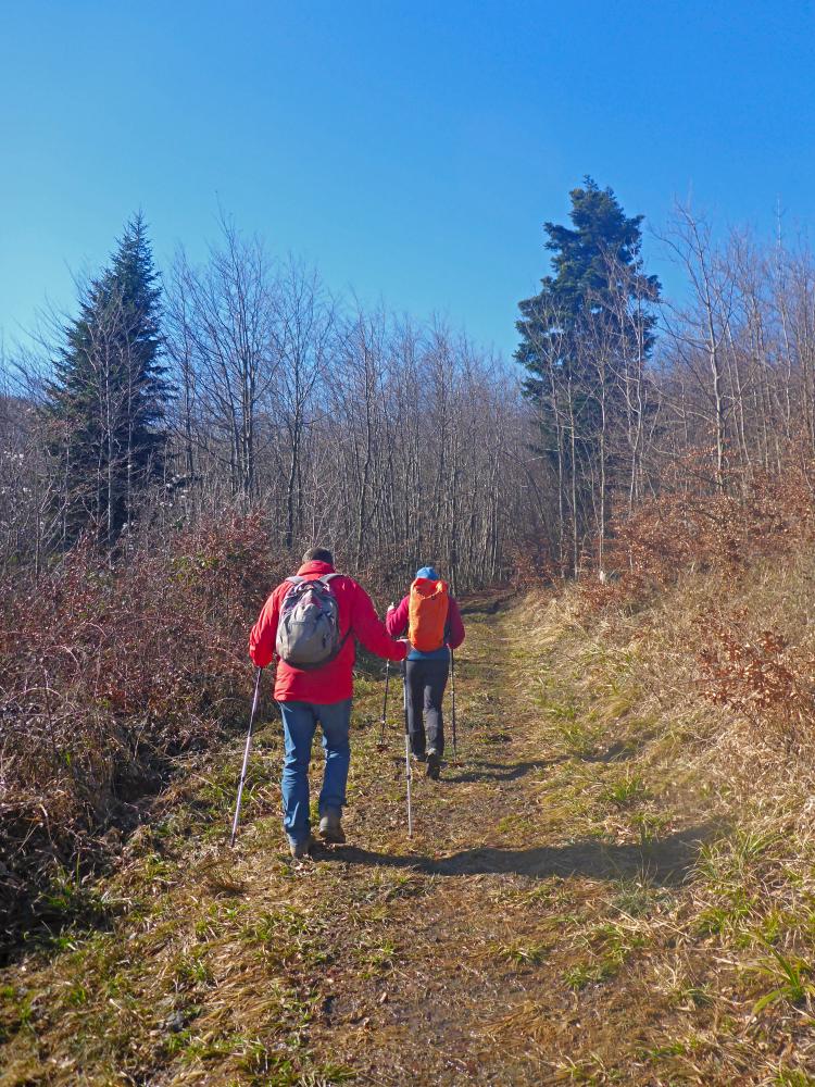 Draxelhofer H&ouml;he (28 Bildaufrufe)
