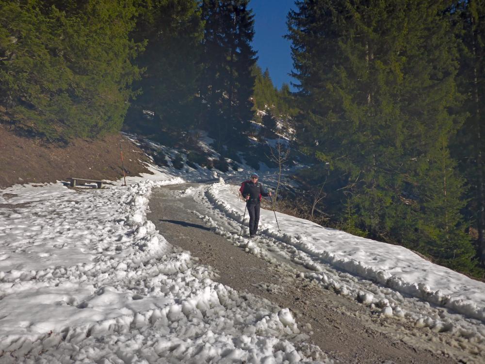 Tirolerkogel (31 Bildaufrufe)