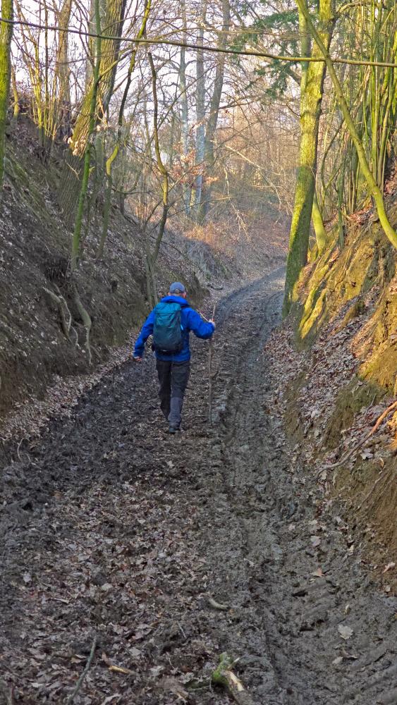 Eiserne Hand (19 Bildaufrufe)