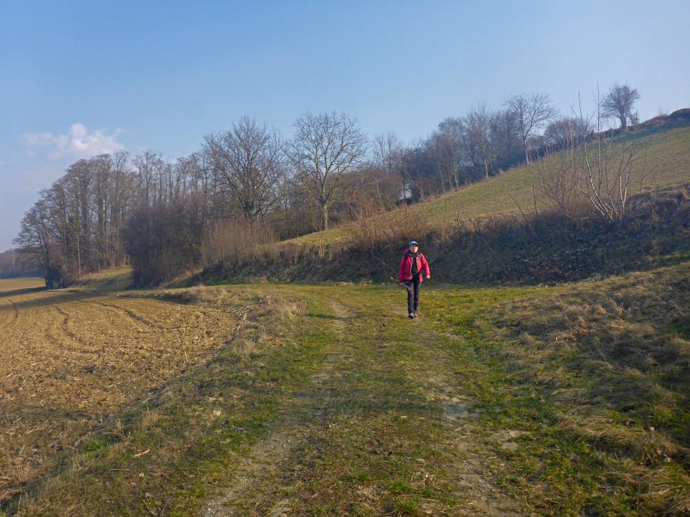 Eiserne Hand (16 Bildaufrufe)