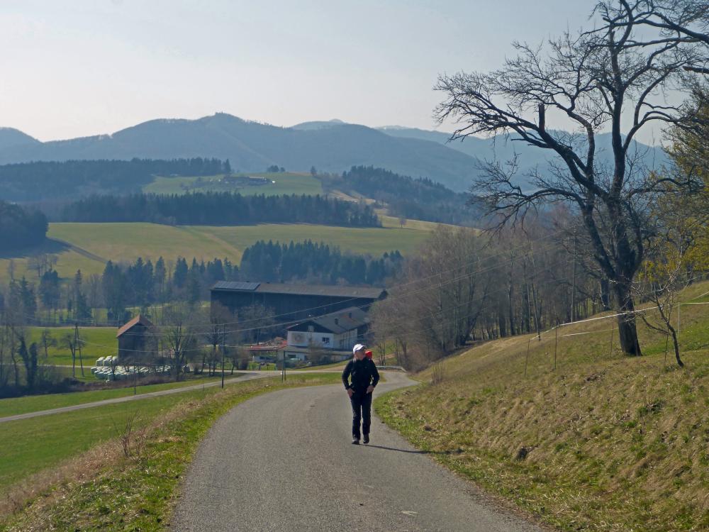 Durlaswaldh&ouml;he (27 Bildaufrufe)