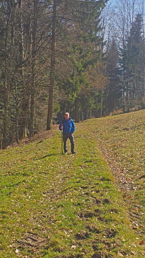 Durlaswaldh&ouml;he (25 Bildaufrufe)