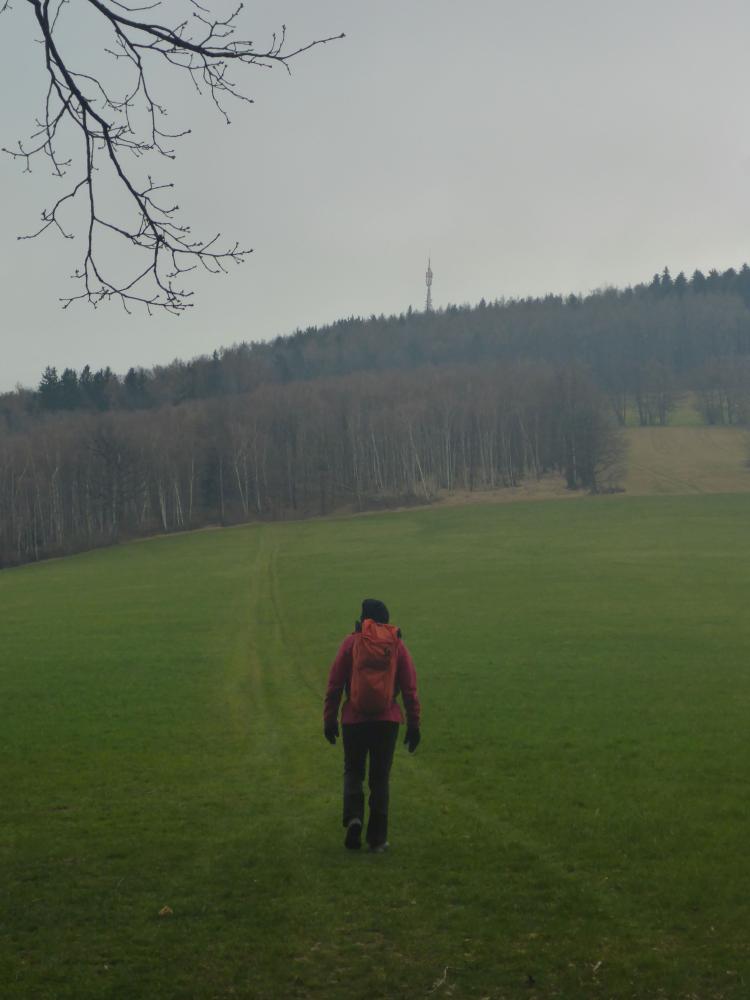 Hummelberg (32 Bildaufrufe)