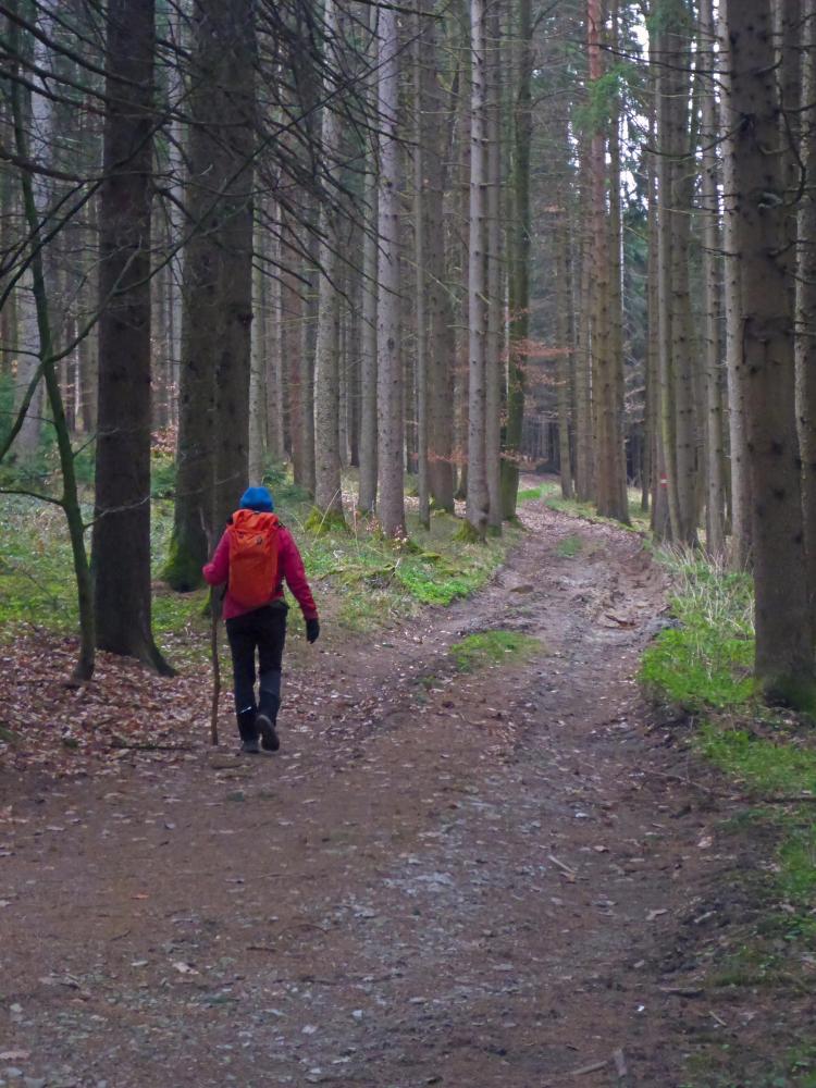 Edlitzberg (20 Bildaufrufe)