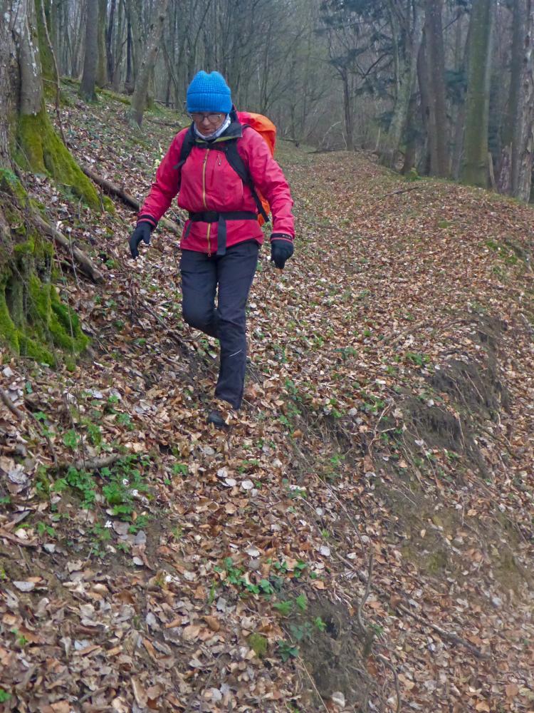 Kuhberg (24 Bildaufrufe)
