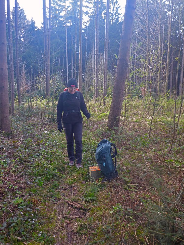 Forst am Berg (24 Bildaufrufe)