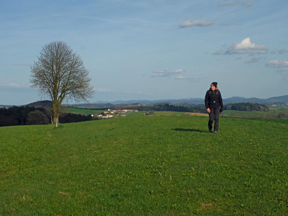 Forst am Berg (25 Bildaufrufe)