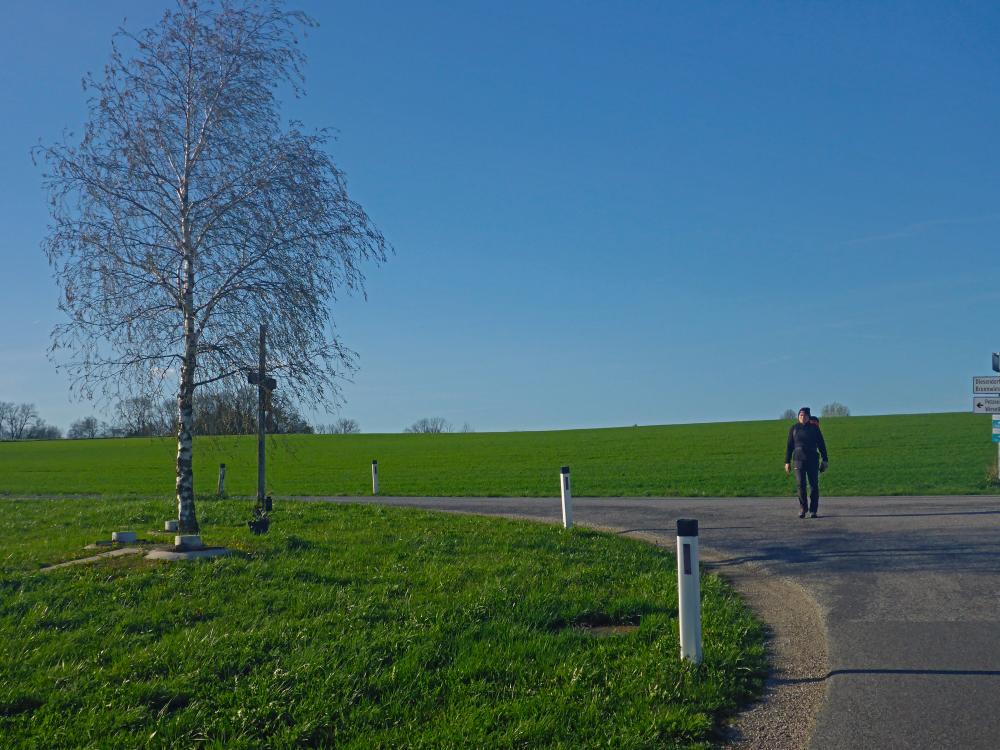 Forst am Berg (24 Bildaufrufe)