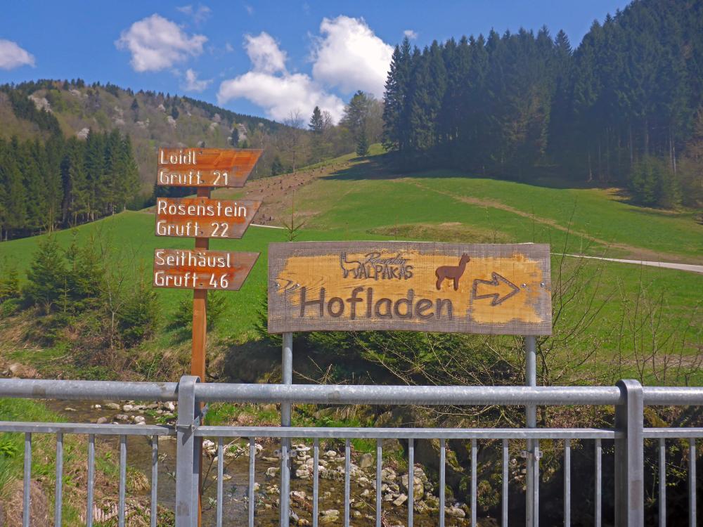 Hackstockloidl (25 Bildaufrufe)