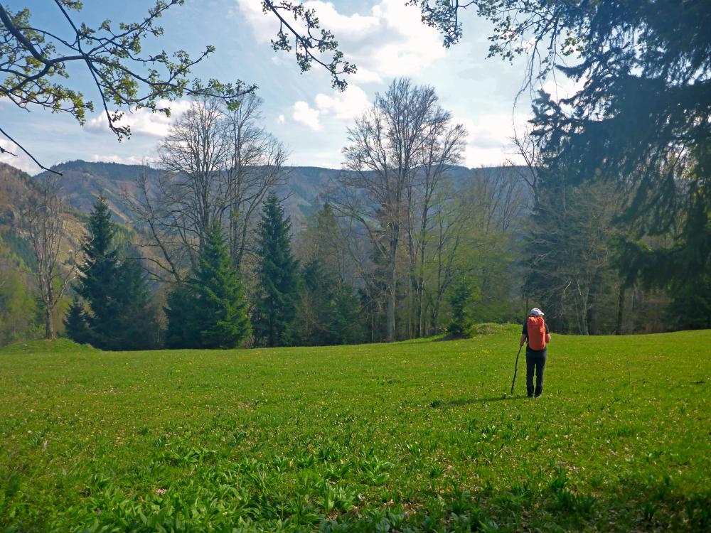 Hackstockloidl (21 Bildaufrufe)