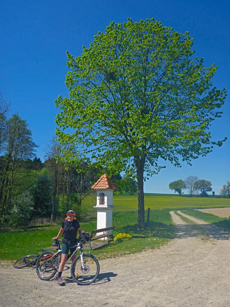 Schlögelsberg (18 Bildaufrufe)