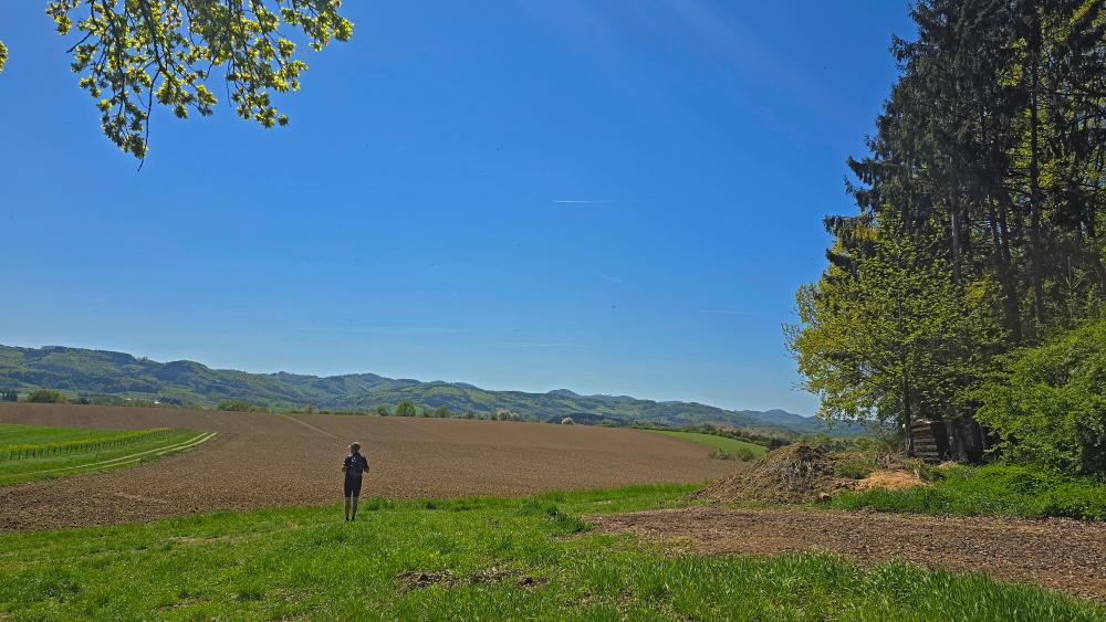 Schl&ouml;gelsberg (21 Bildaufrufe)
