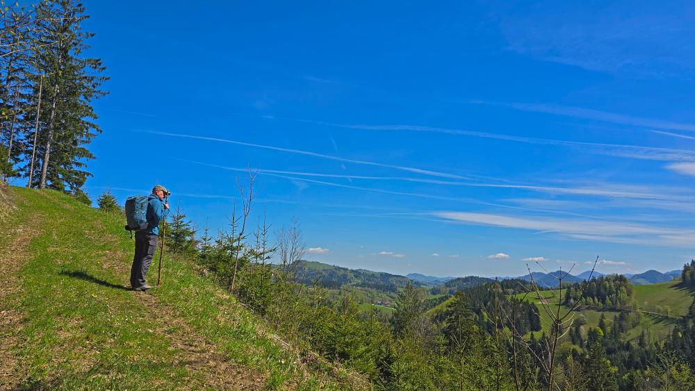 Klausberg (16 Bildaufrufe)