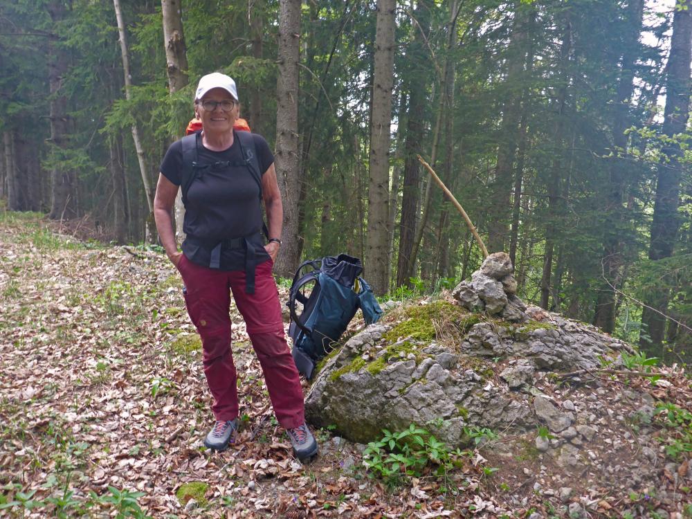 Bärenkogel (32 Bildaufrufe)