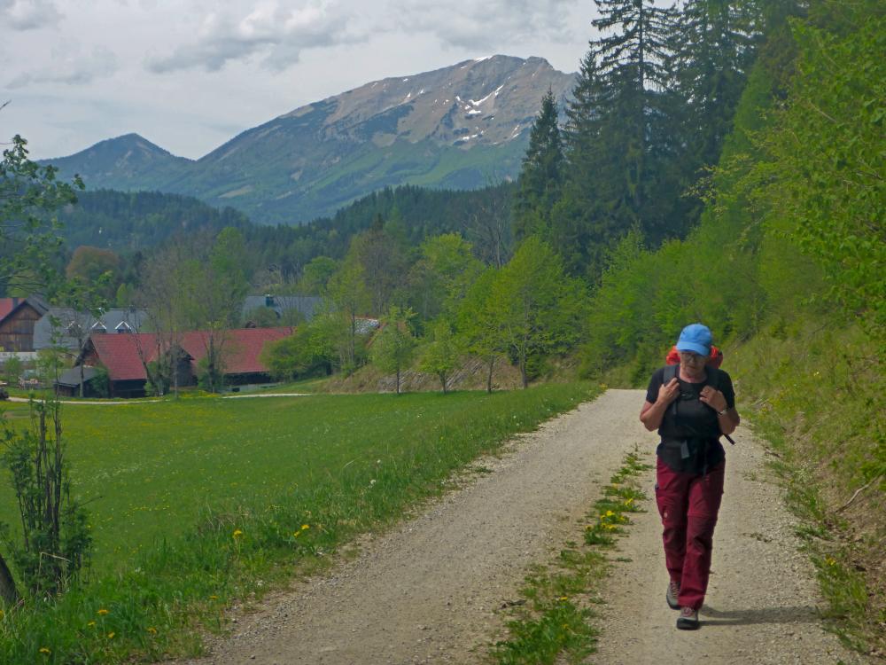 Amaißkogel (27 Bildaufrufe)